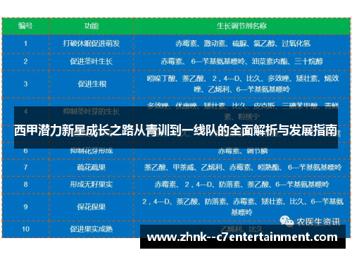 西甲潜力新星成长之路从青训到一线队的全面解析与发展指南