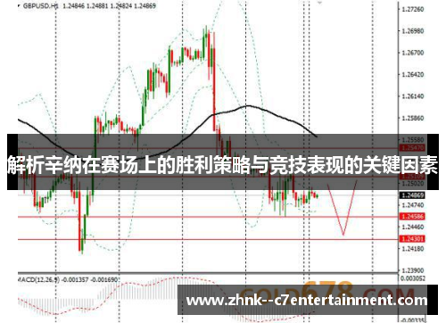 解析辛纳在赛场上的胜利策略与竞技表现的关键因素