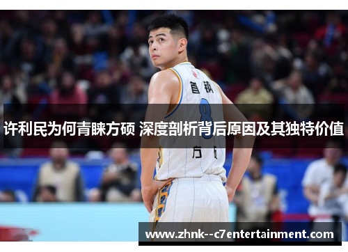 许利民为何青睐方硕 深度剖析背后原因及其独特价值