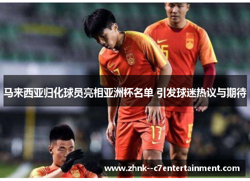 马来西亚归化球员亮相亚洲杯名单 引发球迷热议与期待
