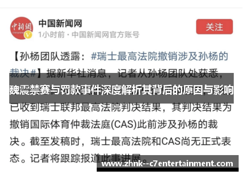 魏震禁赛与罚款事件深度解析其背后的原因与影响